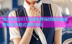 微杏杏吧2017高清免费视频播放器免费畅享多格式播放体验