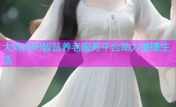 大同杏吧智慧养老服务平台助力便捷生活
