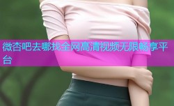 微杏吧去哪找全网高清视频无限畅享平台