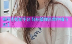 吧答杏智能平台 轻松管理杏果种植与加工