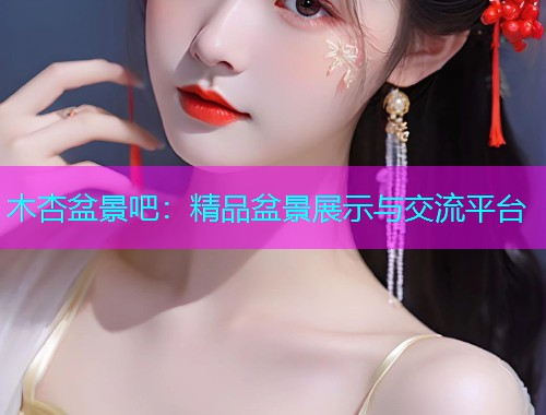 木杏盆景吧：精品盆景展示与交流平台  第1张